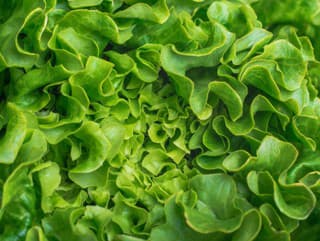 Cenné rady experta: TAKTO