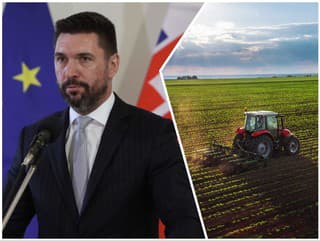 Vláda stojí na strane