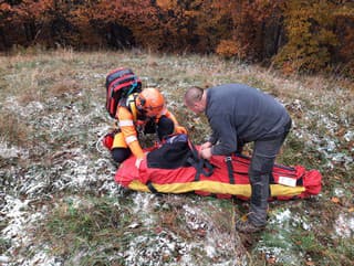 Úraz lesného robotníka vo