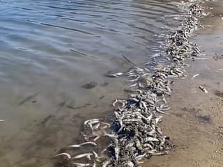 Pobrežie sa zmenilo na