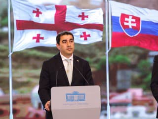 Predseda gruzínskeho parlamentu Šalva