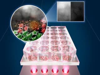 Vedci prišli s novou