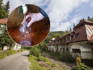 Preslávené kúpele konečne ožívajú: