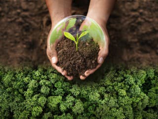 Okruh trestných činov proti