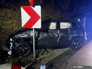 Vodič odišiel z miesta