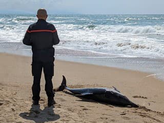 Z oceánu prichádza desivé