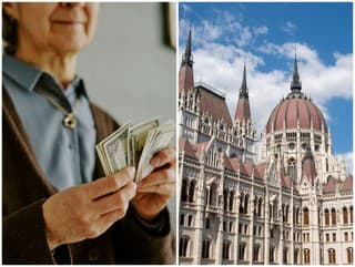 Maďarská vláda rozhodla, 14.