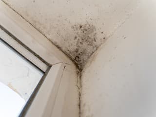 Zbavte sa plesní raz