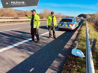 Ojedinelá záchranná akcia na