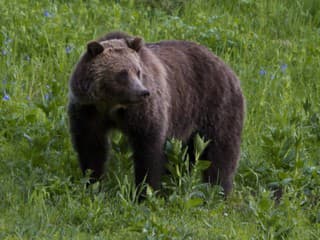 Nové DETAILY v prípade