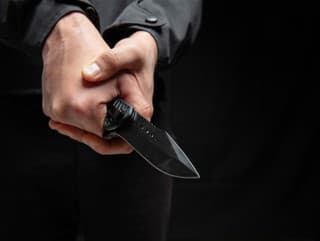 Šok na dvore rodinného