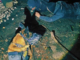 Pri chytení trojice zlodejov