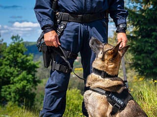 Úspešný zásah policajtov! Zlodeji