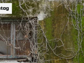 Hotel uprostred hôr si