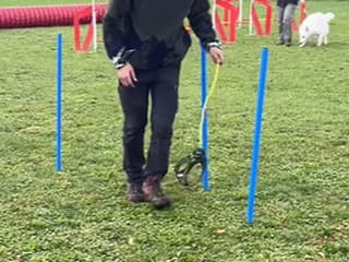 Nemci majú nový koníček!