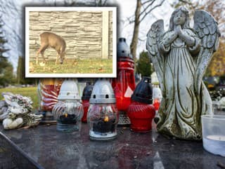 Dušičkové peklo na cintoríne: