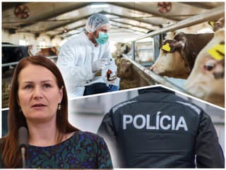 Zakopávanie zvierat kvôli SLAK