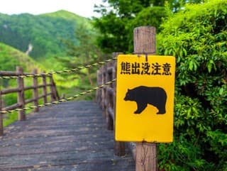 Rázny krok Japonska! V