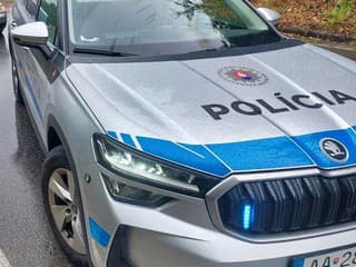 Polícia zadržala Poliaka, na