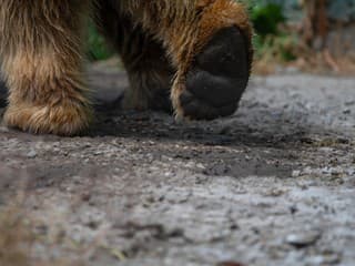 Muž dostal trest: Neoprávnene