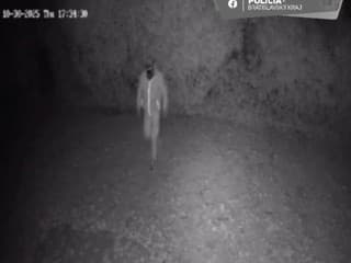 Krádež v rodinnom dome