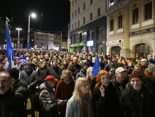 Pochod strany SaS za