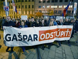 Pochod strany SaS za