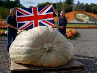 Dvojčatá vypestovali tekvicu ťažšiu