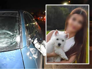 HROZNÁ TRAGÉDIA Milovníčku zvierat