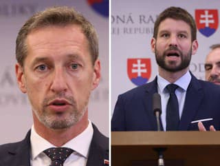 Smer-SD reaguje na rozhodnutie