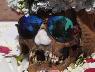 Lebkám dávajú slnečné okuliare