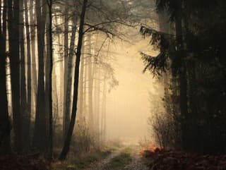 Na väčšine Slovenska sa