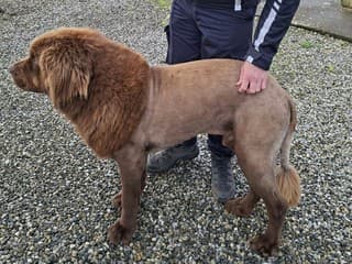 Ľudia si mysleli, že