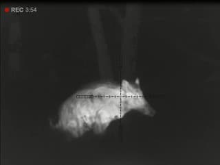 Bezcitná zábavka na kamere: