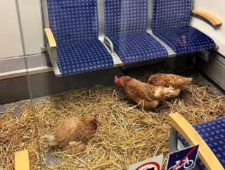 Tri nezvyčajné pasažierky spôsobili