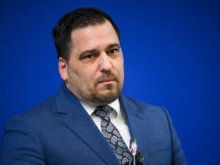 Vedúci delegácie a europoslanec