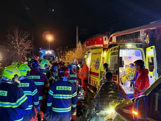 V nemocniciach skončilo 79