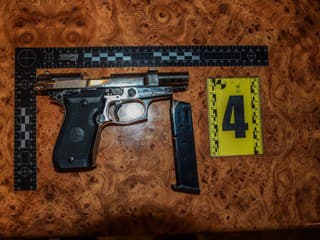 Policajti pri domovej prehliadke