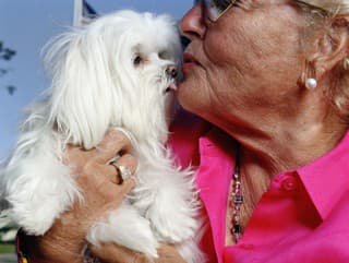 Veterinár bije na poplach: