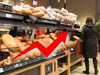 ZDRAŽOVANIE pečiva na obzore: