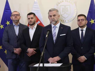 Progresívne Slovensko podľa Smeru-SD