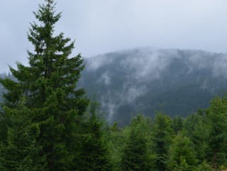 Meteorológovia upozorňujú: Na záveternej