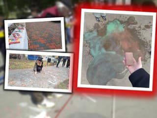 Kriedová revolúcia neobstála všade: