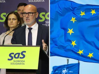 SaS predkladá návrh ústavného