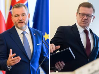 Pellegrini je pripravený konať: