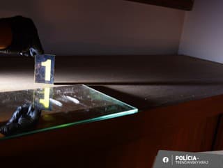 Mužovi z Novomestského okresu