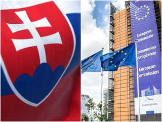 Vokálek upozorňuje: Spor Slovenska