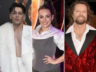 Odovzdávanie cien Český Slávik