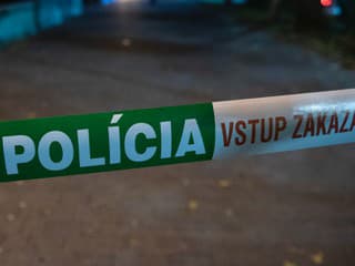 Tragédia na zábave vo