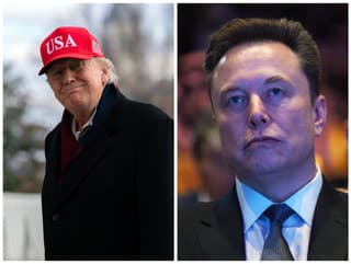 Donald Trump a Elon